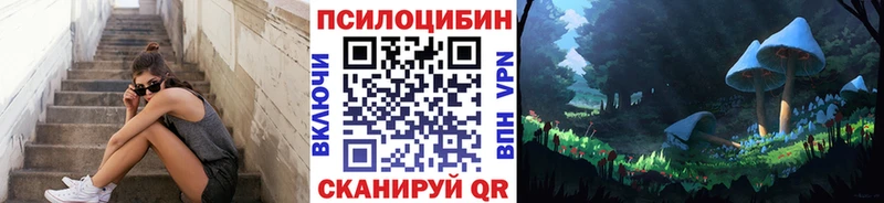 blacksprut как войти Няндома Псилоцибиновые грибы мицелий